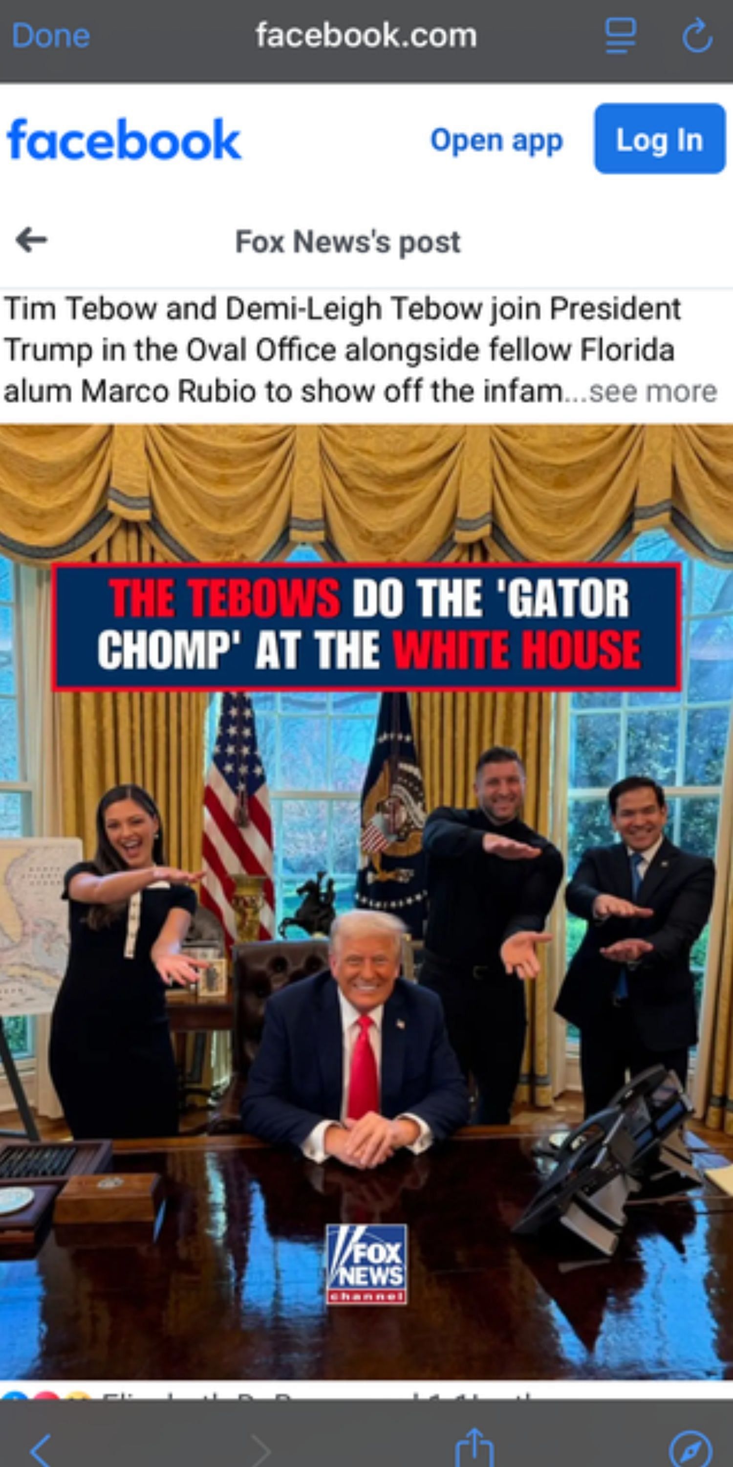 Tim Tebow does gator champ